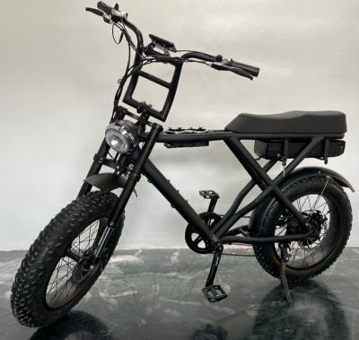 China 750w 1000w Fat Tire Ebike Snow Beach 48v Mountain E Electric Bike Unisex Big Tire Power Fat Tire/Snow Bike/Electric Bicycle With Ce for sale