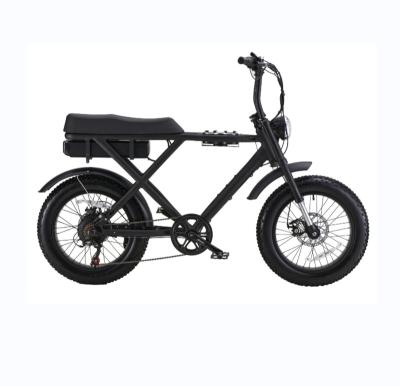 China Hot Sale 20x4.0 Unisex 48v 750w Snow Fat Tire Electric Bike 20