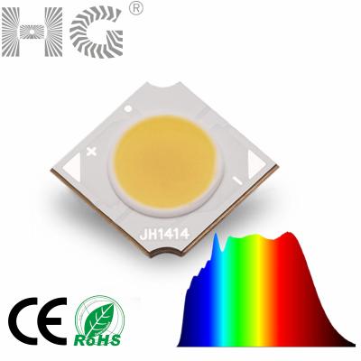 China Plant Growing / Other COB LED Grow Lights 10W 5000K Ra98 COB Full Spectrum LED Light Source Chip Lamp Diode For Hydroponics Led Grow Light for sale