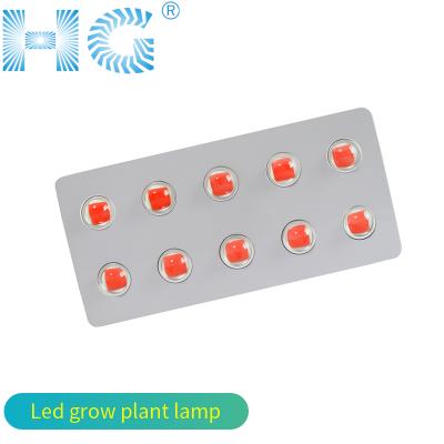 China Wholesale High Lumens Full Spectrum Aluminum Led PINK 500W and 4000K Cob White LED Grow Light for Indoor Plants LED Grow Light for sale