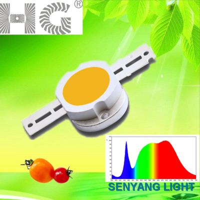 China INGAN 10W Warm White Full Spectrum Grow Light Led Diode 4000-4500K Use By Promoting Flower And Fleshy Fruit Led Lamp for sale