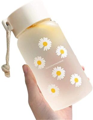 China 500ml Small Transparent Plastic Sustainable Water Bottles BPA Free Creative Frosted Water Bottle With Rope Travel Portable Tea Cup for sale