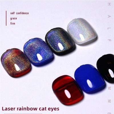 China Nail Art Beauty Salon VANDONNIE own brand spot 9D cat's eye gel polish wholesale color nail rainbow laser cat's UV gel gel nail polish for sale