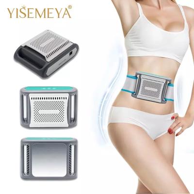 China Cryolipolysis que adelgaza la máquina en venta