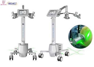 중국 기계 하중 손실 반대 셀룰라이트 8 인치 터치 스크린을 가늘게 하는 532nm 635nm 6D 레이저 판매용