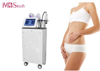 China Máquina que adelgaza de congelación gorda de Cryolipolysis de la tecnología fresca vertical en venta