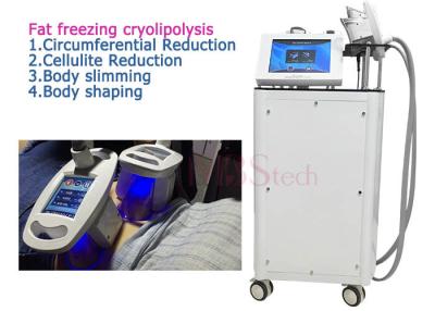 China Máquina de queimadura gorda de Cryolipolysis de 4 punhos para o uso da casa à venda