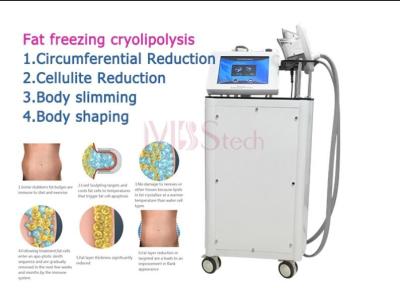 China 190m m Chin Cryo Cryolipolysis Slimming Machine 130m m doble en venta