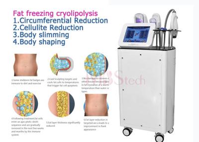 China Het Lichaam dat van het het Gewichtsverlies van Ce Rohs Cryolipolysis-Machine beeldhouwt Te koop