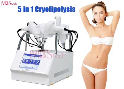 China 5 in 1 Multifunctionele Machine van het de Vorstvermageringsdieet van Cryolipolysis Vette Te koop