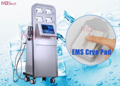 China Onda de choque Cryolipolysis que adelgaza la máquina en venta