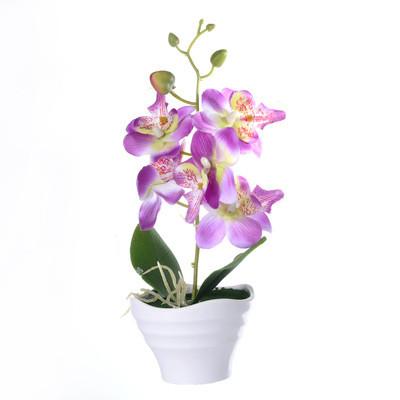 China Simply New Phalaenopsis Bonsai Flower Simulation Artificial Flower For Home Decor Mini Pot Artificial Flower for sale