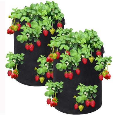 China Free Sample Environmental Protection 10/20/30 Gallon Tomato Strawberry Plant Life Support Nonwoven Watering Bag for sale