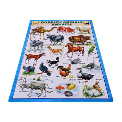 China 3D Embossed Plastic Educational Wall Chart Made In China for sale