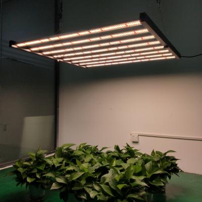 China Seed Starting Horticulture Hydroponics Garden Supply IP65 Led Lighting Grow Lamps Veg Flower 600W Led Grow Light for sale