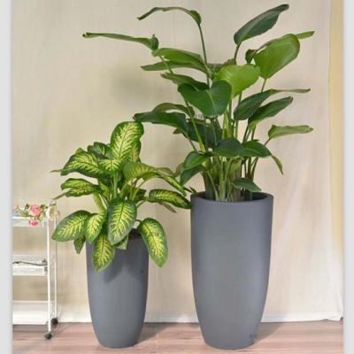 China Wholesale Cheap Modern Nordic Home Indoor Planter Cement Decor Price Outdoor Concrete Flower Pots Large Molds for sale