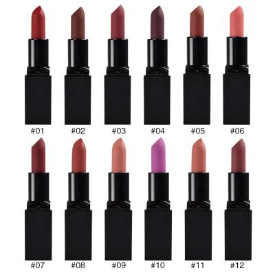 China Best Quality Waterproof Set Lipstick Waterproof Lipstick Stick Liquid Lipstick Private Label for sale