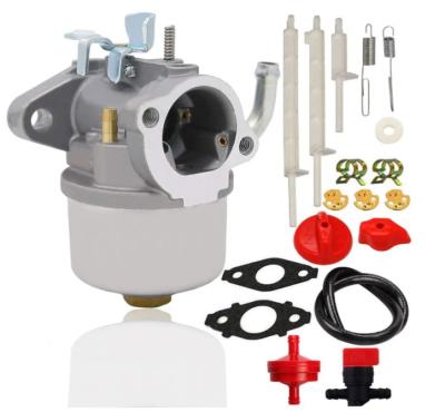 China carburetor 798917 for Briggs and Stratton most engines 798917 carburetor kits 12A000 12C000 12D000 12E000 12R000 12Z000 for sale