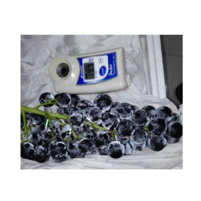 China Fresh Home Grade Organic Grapes for sale