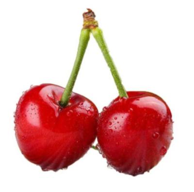 China Fresh wholesale farms provide fresh cherries for sale