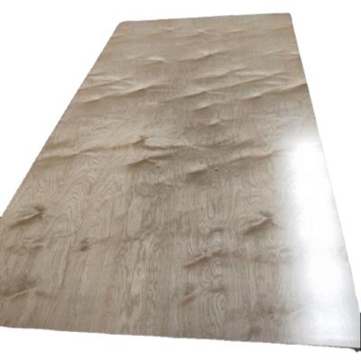 China White Birch Modern UV Plywood 1220x2440x16mm for Canada for sale