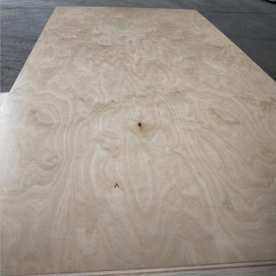 China 1220x2440mm Or 1230x2450mm Size 16mm C/D Modern Birch Plywood Manufacturer for sale