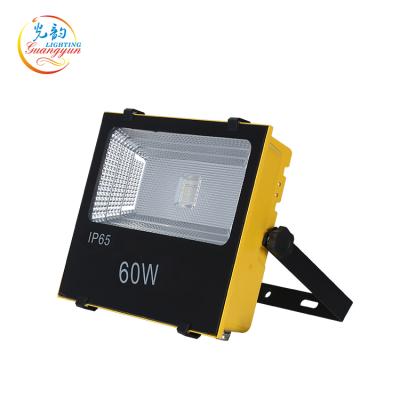 China High Quality Waterproof Garden Remote Control IP65 RGB 60w Garden Led Flood Light for sale