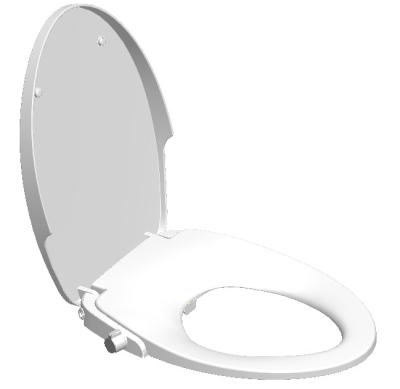 China Concealed Single Tank American Style Woman Cold Wash Long Lid Extended Bidet Manual Toilet Seat Self-Cleaning: Start Self Clean for sale