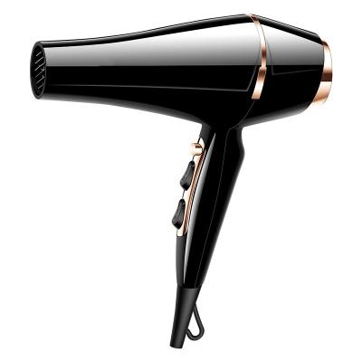 China Hot Selling Ionic Negative Ionic Blow Dryer For Powerful DC Motor Hair Dryer Fast Drying Hair Blow Dryer For Men And Women for sale