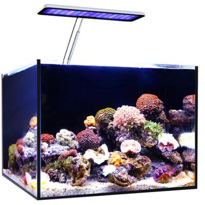 China Coral Reef Aquarium MicMol - LED Fish Tank Lighting Maine Landscaping Warm Light Mini Tank Saltwater Aquarium for Aquatic Plants Aquarium Lighting for sale