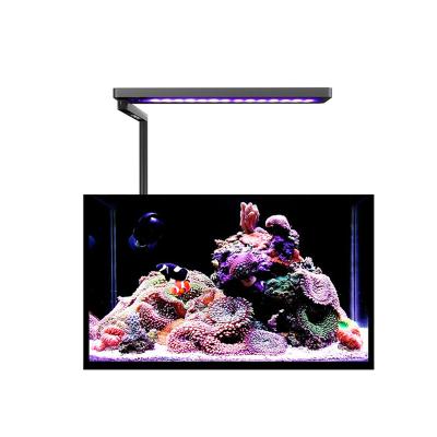 China MicMol Dimmable 20W Saltwater Smart Nano Croal Light Reef Tank Full Spectrum For Aquarium Fish Tank for sale