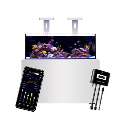 China Latest Energy Saving MicMol Channel 4 Adjust Marine Aquarium UV Light Smart Programmable Reef Light For Coral Conservation for sale