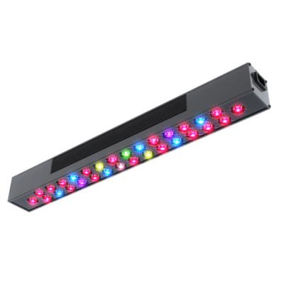 China Seed Starting Micmol BloomRay Series 300w 600w Full Spectrum LED Grow Light System For Hydroponics Plant Grow for sale