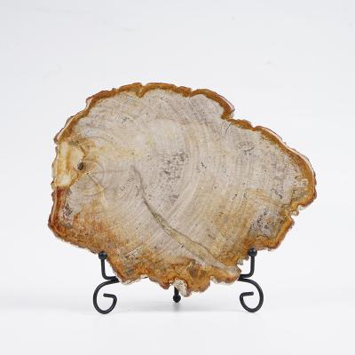 China Contemporary Irregular Petrified Wood Ornaments Slice Natural Stone Carving Living Room Decor Vintage Collectible Desk Accessories for sale