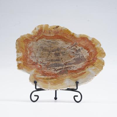 China Contemporary Petrified Wood Slices With Iron Stand Gifts For Housewarming Collection Handwork Vintage Natural Stone Living Room Decoration for sale