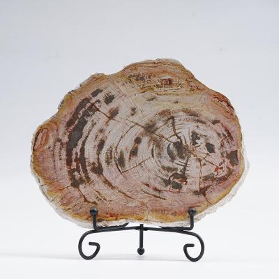 China Contemporary Southeast Asia Ornaments Desktop Stone Natural Mineral Decoration Specimen Slab Slice Petrified Wood Home Accessories for sale