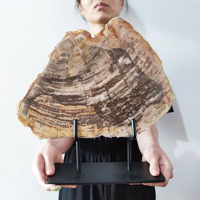 China Art Deco Natural Petrified Wood Slice Stone Specimen with Iron Irregular Mineral Crystal Aesthetic Decoration Backing for Home and Office for sale