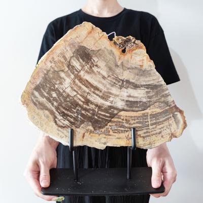 China Art Deco Irregular Natural Petrified Slab Slice Wood Stone with Iron Stand Mineral Specimen Gifts for Kids Healing Luxury Home Decor for sale