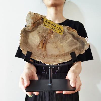 China Art Deco Petrified Wood Slices with Iron Holder Gifts for Ring Collection Handicraft Living Room Annual Decoration of New Home Natural Stone for sale