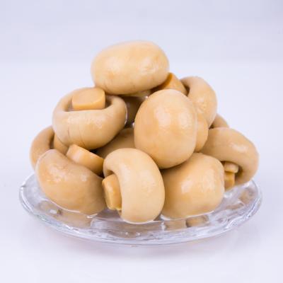 China Canned Fresh Canned Mushrooms, Delicious Ready-To-Eat Canned Mushrooms In China On Sale for sale