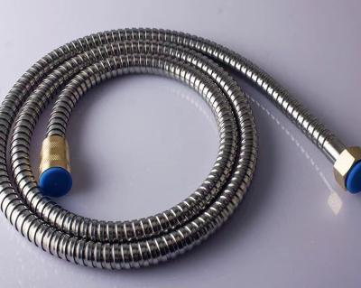 China Modern Hot Sale Stainless Steel Shower Hose for sale