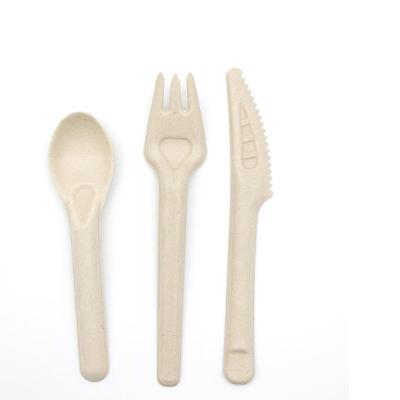 China Eco-Friendly Bagasse Sugarcane Knife Disposable Fork Administer Knife Fork Biodegradable Disposable Spoon Spoon 16cm for sale