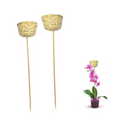 China DIY House Bamboo Sticks Plant Growth Support Stick Flower Plant Sustainable Gardening Stick For Garden for sale