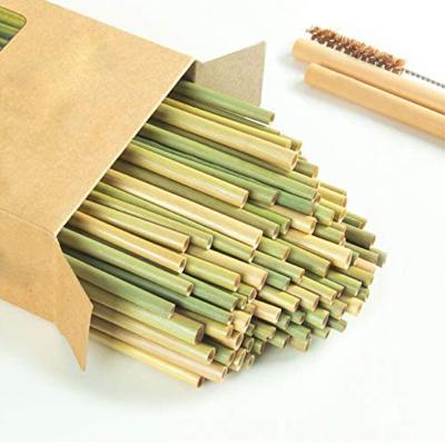 China Disposable Reusable Bamboo Straws Set of 12 Green Disposable Bamboo Straws for sale