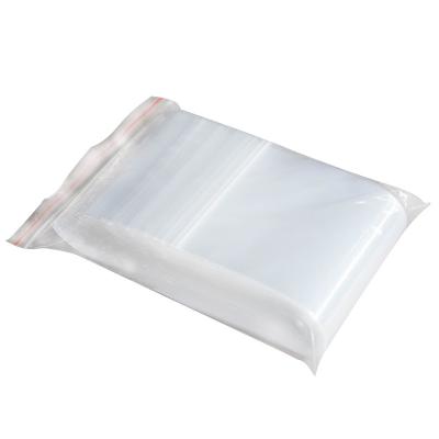 China White PLA Craft Seal Bag Free Sample Food Seal Bag Biodegradable Dried Fruit Candy Cookie Food Bag for sale