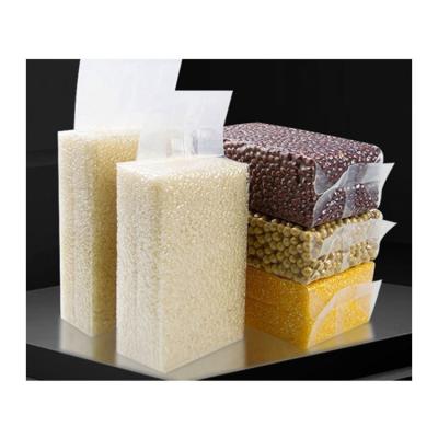 China Best Price Barrier Seal Recyclable Frozen Food Storage Transparent Bags Airtight Seal for sale