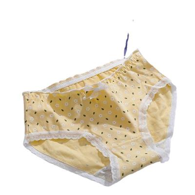 China Factory Outlet New Ladies Antibacterial Women'sUnderwear Panties Daily Comfortable Shorts Girl's Boxer for sale