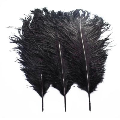 China Wedding Wholesale Cheap Event Concert Ostrich Feathers 25-30 cm Large Black Ostrich Feathers Wedding Feathers Decoration for sale