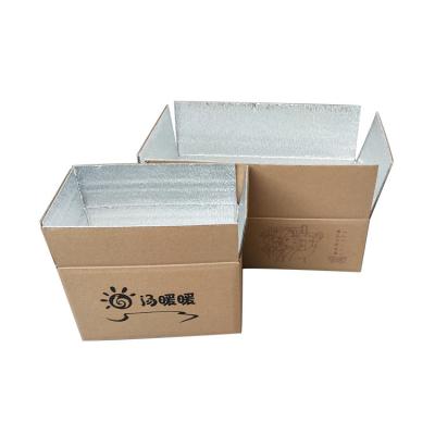 China Custom Logo Design Recyclable Insulated Thermal Box Insulation Shipping Cartons And Ice Bag For Food for sale