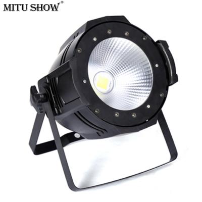 China ROAD China Suppliers IP65 Dimmable COB 100W LED Outdoor Par Light for sale